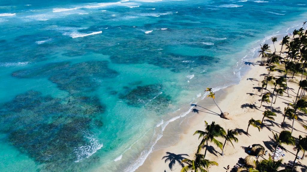 20bafb7a-2f98-4066-8720-300a2e921049