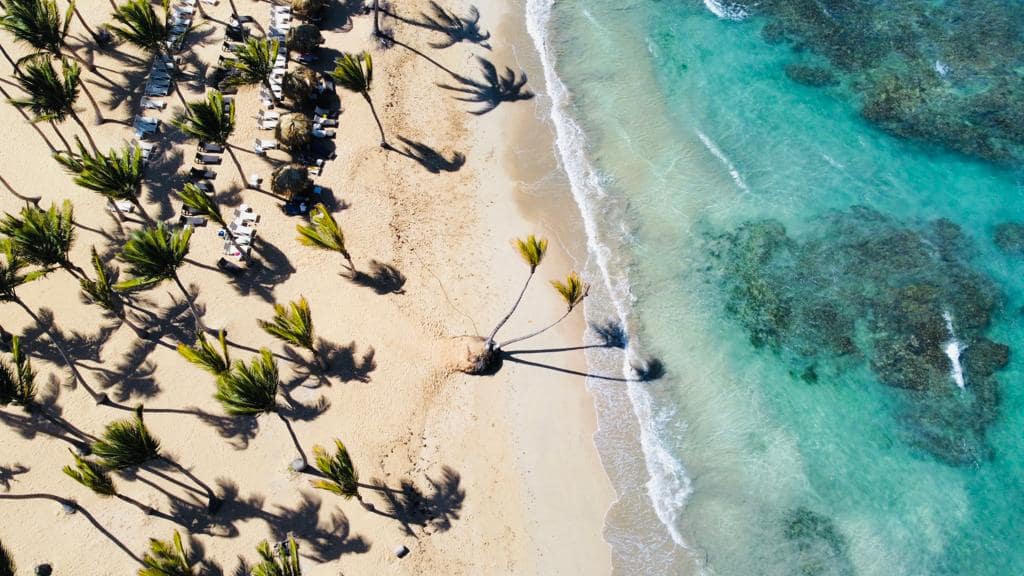 90a10887-1d39-4931-92f1-b4a92949831f