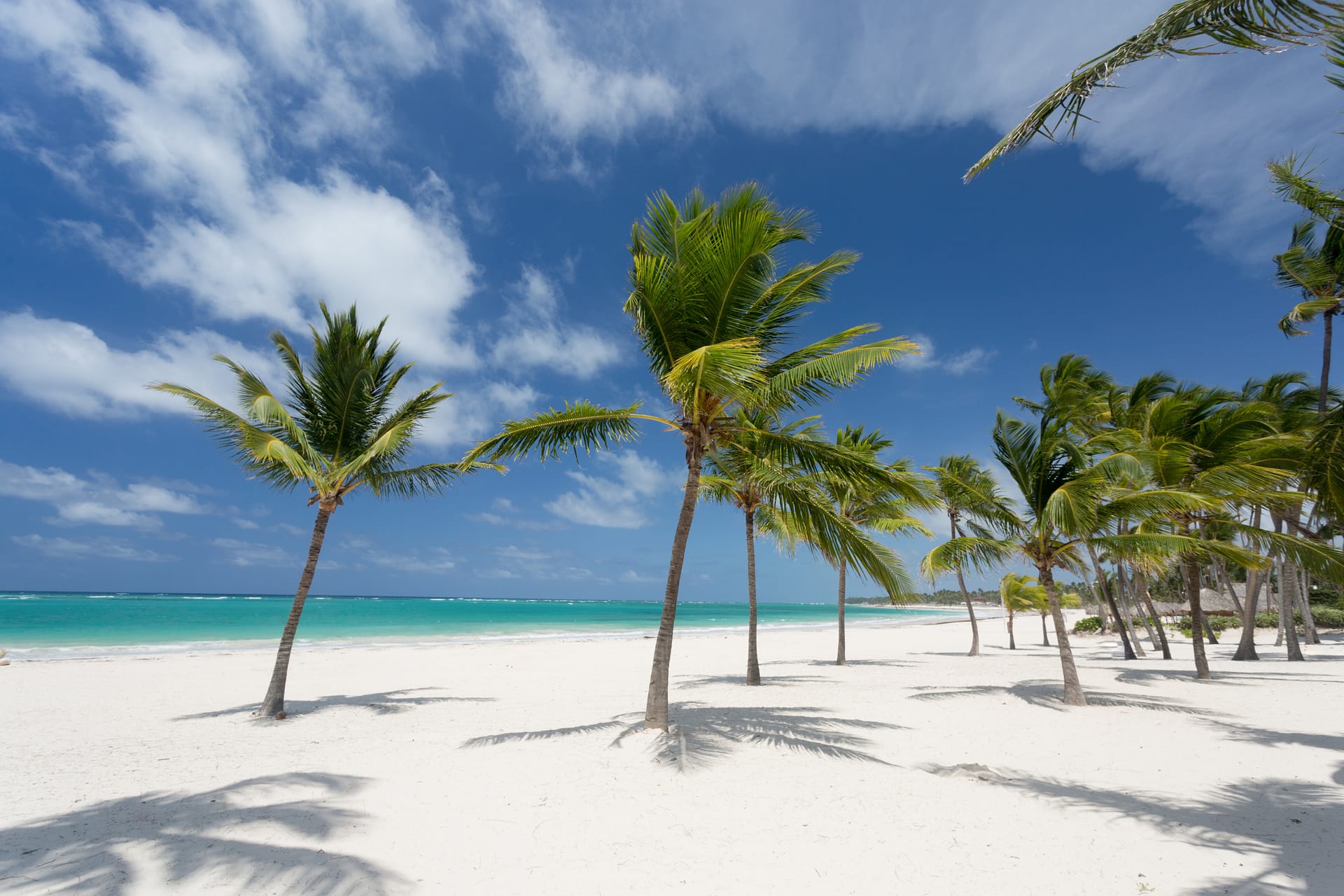 Aquamar 9 Playa y Palmeras