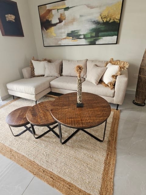 20250210_110208 (Klein)