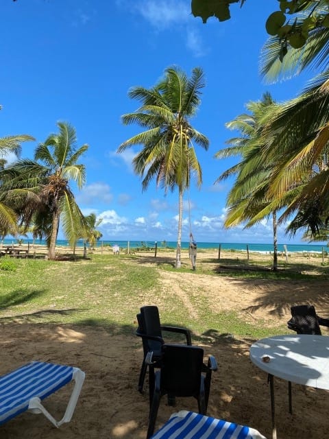 Foto 17-11-22, 11 45 45 a. m. (Small)