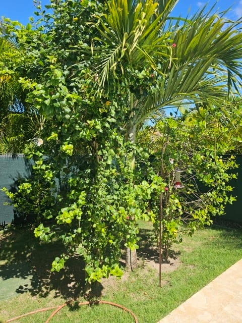 20250123_120207 (Klein)