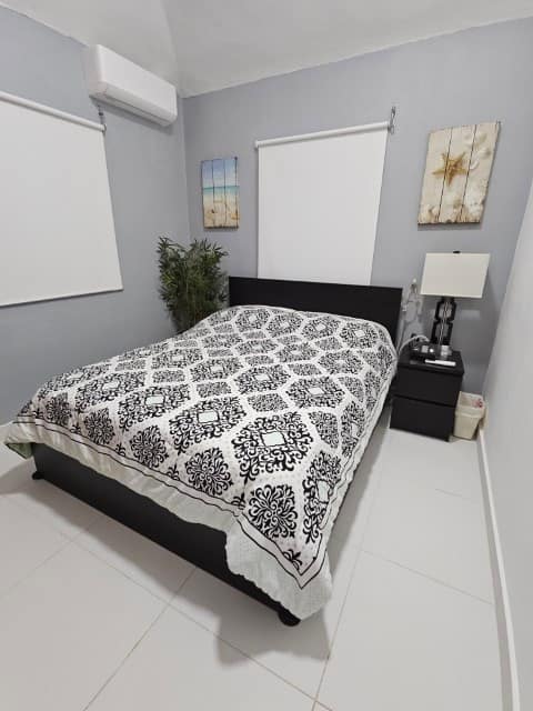 20250123_121153 (Klein)