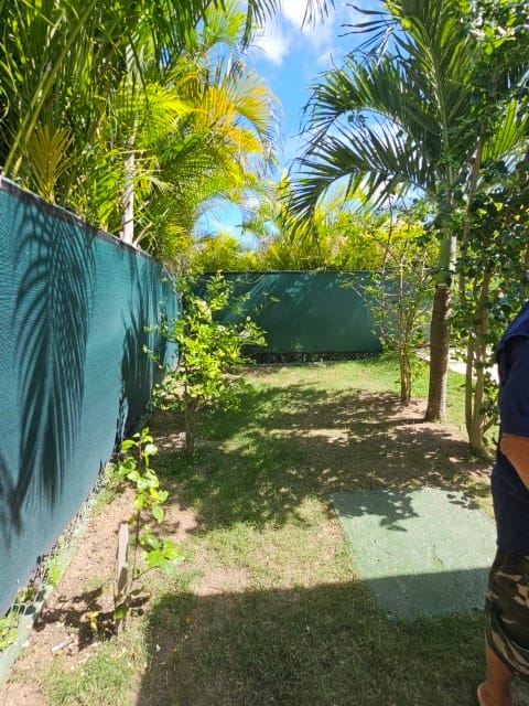 20250123_121520 (Klein)