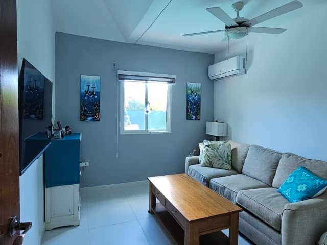 20250123_121116 (Klein)