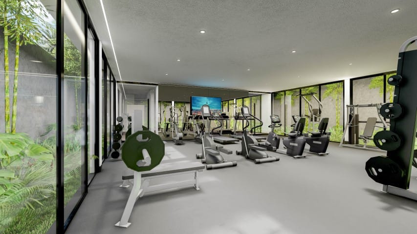 Gimnasio (Small)